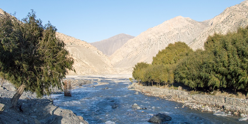 Experience thrilling bungee jumping in Nepal while diving over the deep Kaligandaki Gorge.