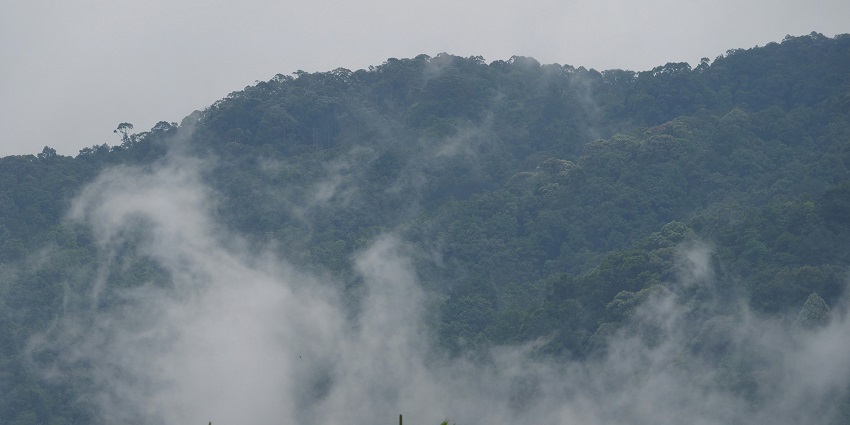 An image of Kalimpong which is one of the serene scenic spot in West Bengal, India.