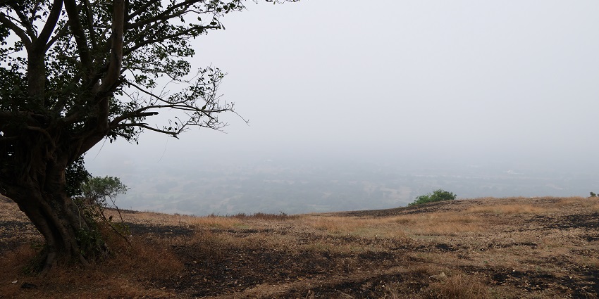 Kanakeshwar Forest near Alibaug offers serene trekking and diverse wildlife.