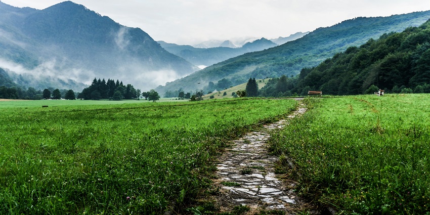 Scenic view of the Kaudia Range in Uttarakhand, showcasing lush green hills and misty valleys