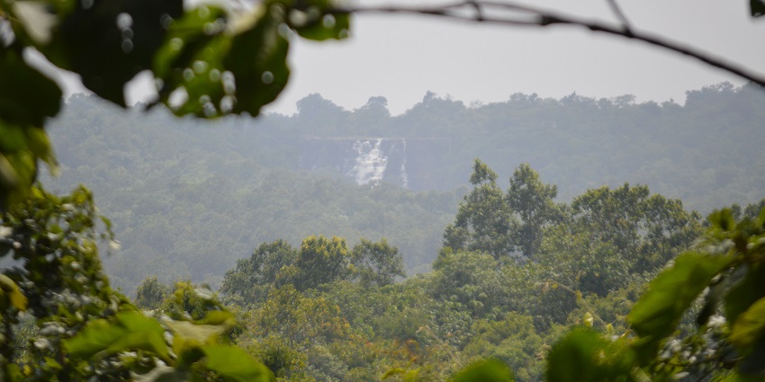 Dense forest and a clear river flowing through Kanger Ghati National Park