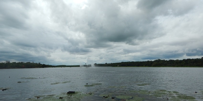 Serene waters of Kanjia Lake with birds flying over and greenery in the background