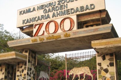 The entrance of Kankaria zoo.