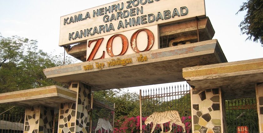 The entrance of Kankaria zoo.