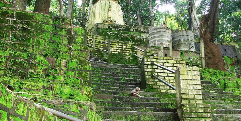 Kapilash Temple, located on hills, is one of the popular temples to visit in Odisha.