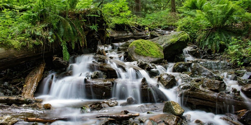 Kapildhara Falls, a stunning waterfall and popular tourist attraction in Amarkantak.
