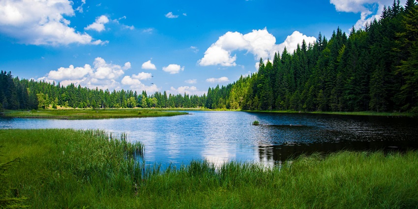 Kapurbawdi Lake, among the best places to visit in Ahmednagar, is a serene attraction.