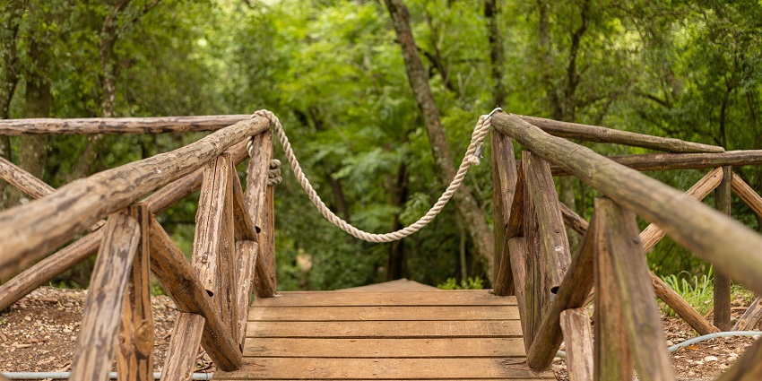 Karan Taal Park is one of the lovely parks, perfect for relaxing and spending free time.