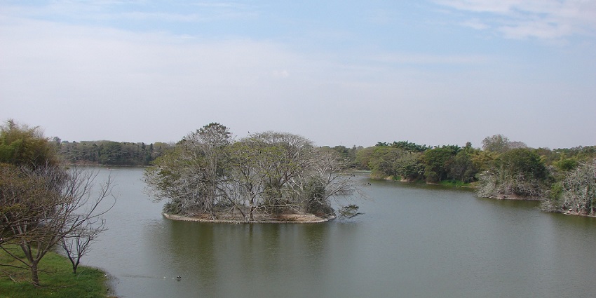 Karanji Lake Nature Park is surrounded by lush vegetation and is one of the scenic places to visit in Karnataka