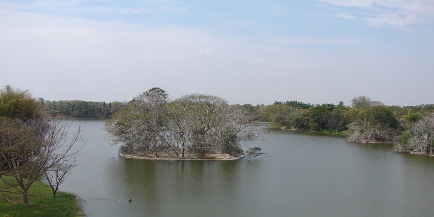 The placid lake of Karanji in Mysore is surrounded by lush greenery and verdant hills.