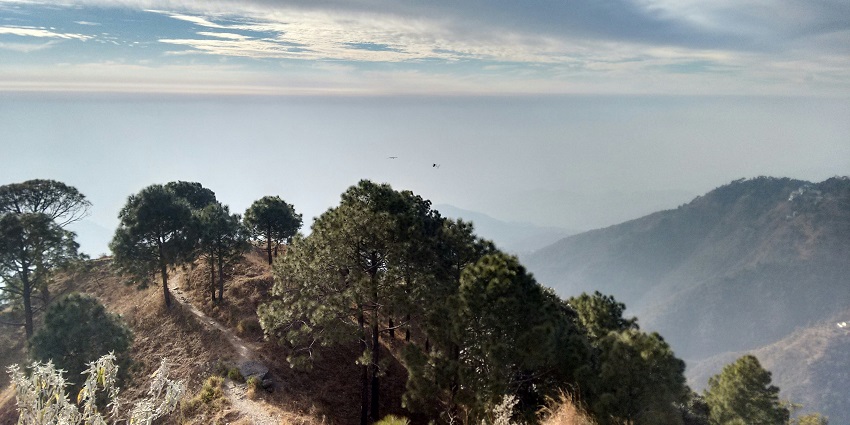 Picturesque view of a sunny afternoon in Kasauli, Himachal Pradesh, India