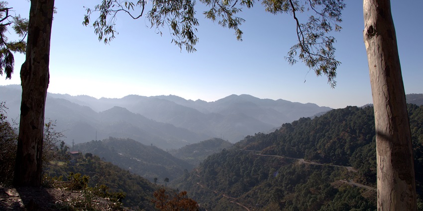 Lower Himalayas in Kasauli, Himachal Pradesh, showcasing rolling hills and dense forests under a clear sky
