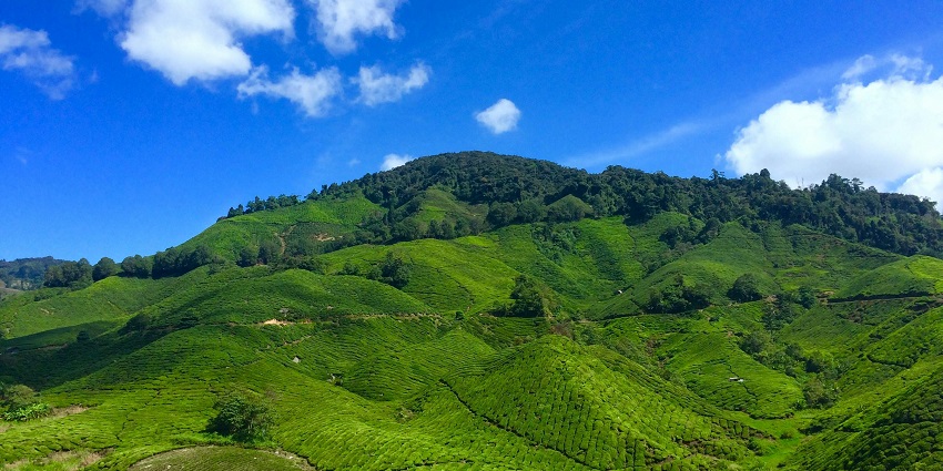 Kasauli is one of the top hill stations in Himachal Pradesh that is filled with lush greenery and landscapes