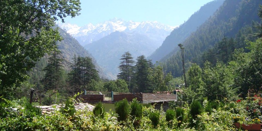 A picture of a lush green valley in Kasol under a clear sky, with Himalayan views in the background