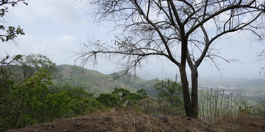 Katepurna Wildlife Sanctuary offers wildlife viewing, birdwatching, and nature walks.