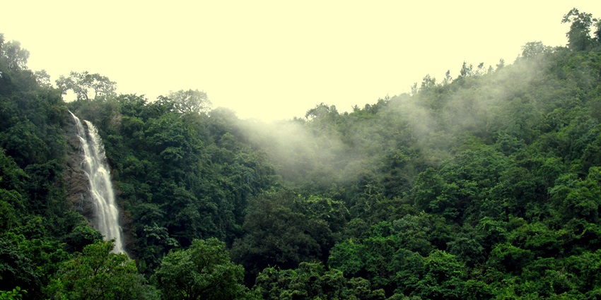 Katiki Falls is one of the most beautiful and picturesque Srikakulam Waterfalls for all.