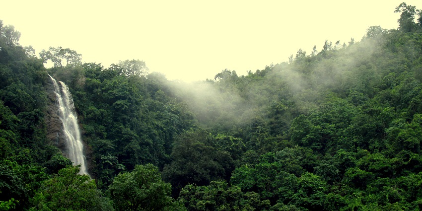 A picture of a quaint waterfall cascading down a green hill near Vizag on a sunny day
