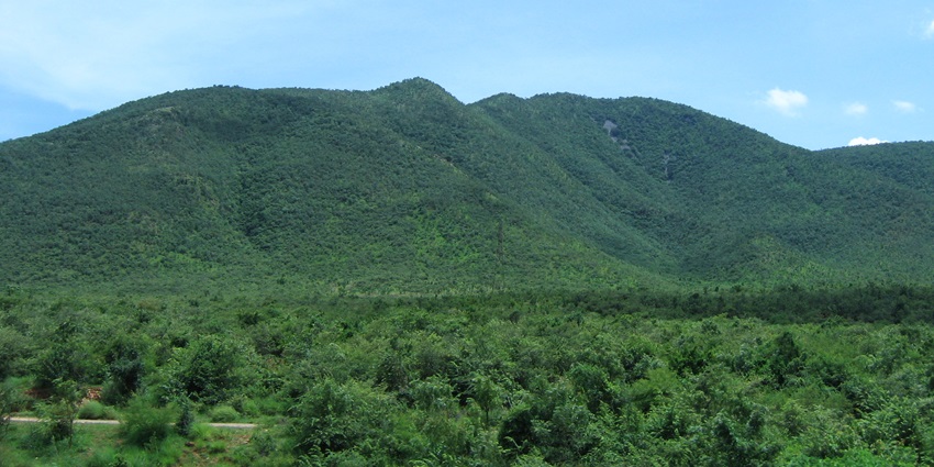 Kaundinya Wildlife Sanctuary is an elephant reserve with rich flora and scenic trekking trails.