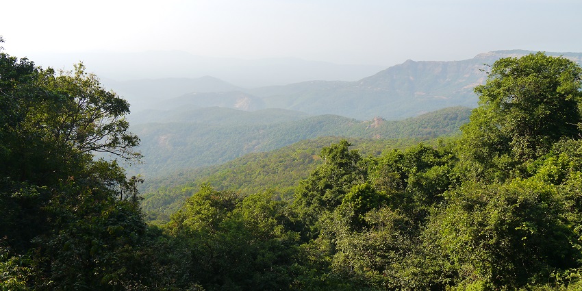 A panoramic view of Kavlesaad Point, one of the famous places to visit in Amboli.