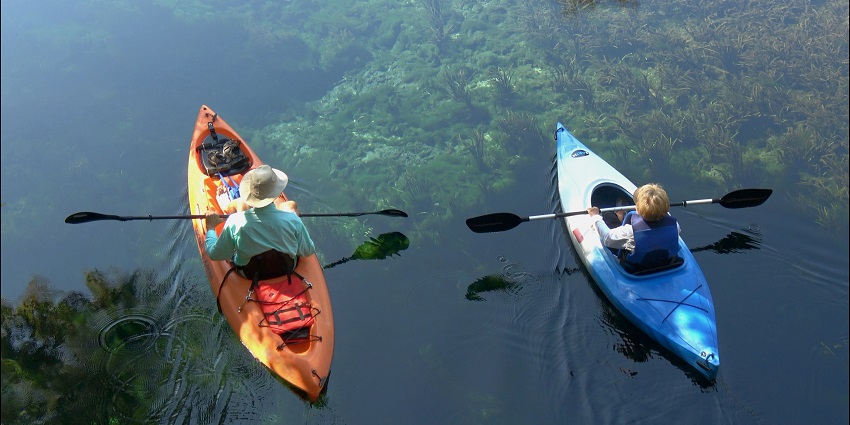 A view of people enjoying kayaking on colourful kayaks on the shimmering waters of Goa.