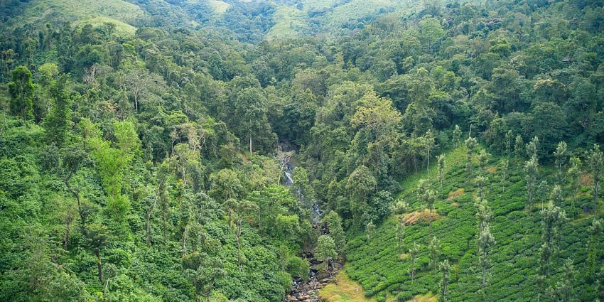 A view of craggy peaks at Kemmangundi which is one of the hill stations in Chikmagalur.