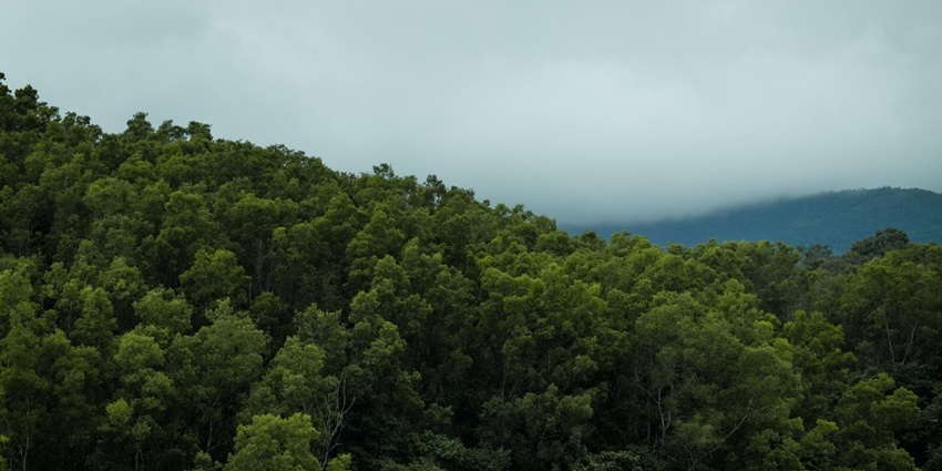 Scenic view from Z Point at Kemmangundi, one of the top hill stations near Bangalore.