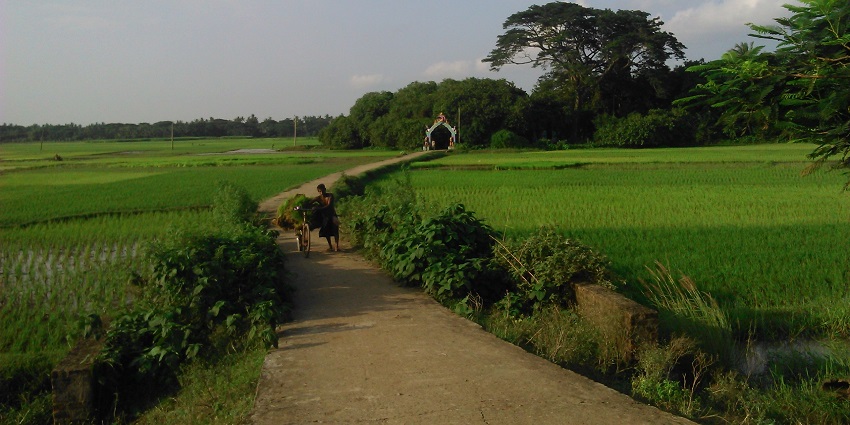 Located in Ichhapur Village, Kendrapara district, Baladevjew Temple is a must-visit.