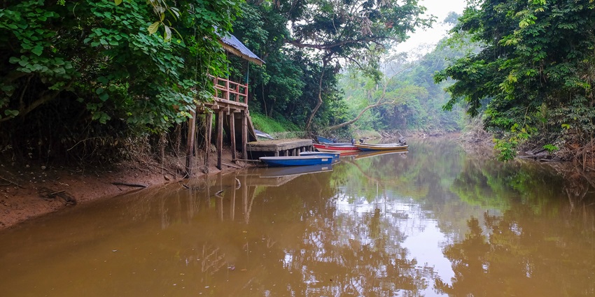 Enjoy a night safari in Malaysia at Kenong Rimba Park, an adventure park with caves, trekking, and waterfalls.