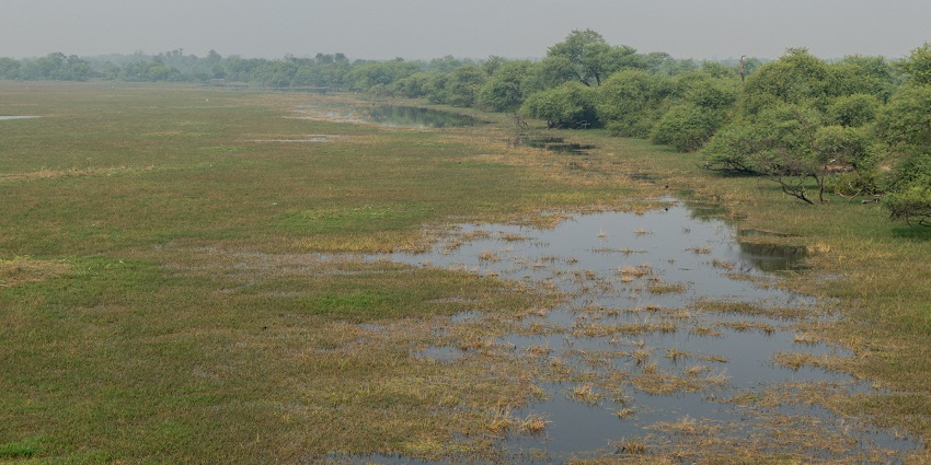 A view of Keoladeo Ghana National Park, one of the most popular parks near Jaipur.
