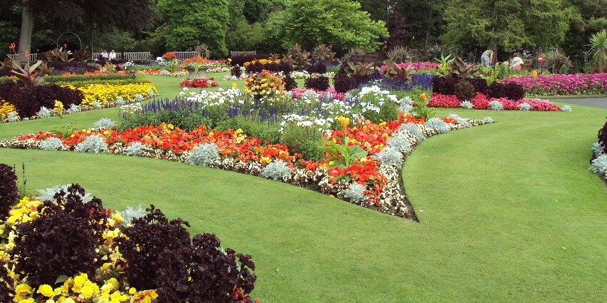 Escape to Khatu Shyam Gardens, a tranquil spot with lush greenery and vibrant flowers.