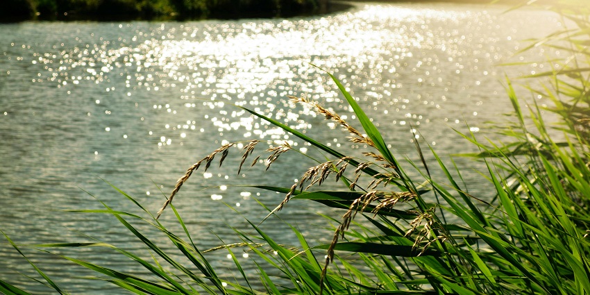 A picture of a lake taken from the shore during sunset