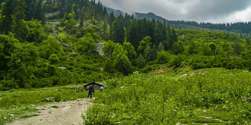 A serene view of Kheerganga with tents set up on a grassy meadow surrounded by dense forests and mountains