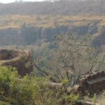 A broad view of the Kheoni Wildlife Sanctuary with lush greenery all around