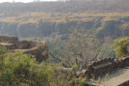 A broad view of the Kheoni Wildlife Sanctuary with lush greenery all around