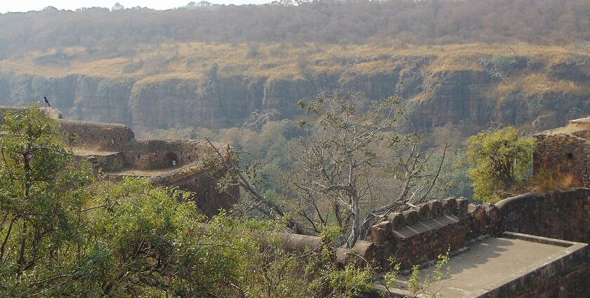 A broad view of the Kheoni Wildlife Sanctuary with lush greenery all around