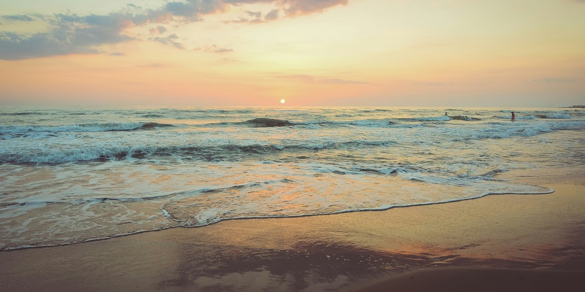 Kihim Beach in Alibaug, Mumbai offers scenic beauty and serenity for nature lovers.