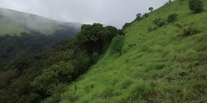 A quaint view of Kodachadri, one of the serene hill stations near Hubli, Karnataka.
