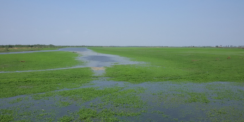 A breathtaking view of the Kolleru Lake featuring shimmering blue waters and greenery.