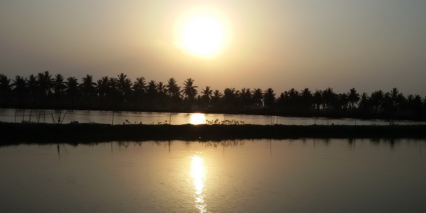 Stunning view of Kolleru Lake with surrounding greenery across the horizon in Andhra