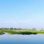 A view of Kota city in Rajasthan, showcasing a mix of urban structures and greenery.