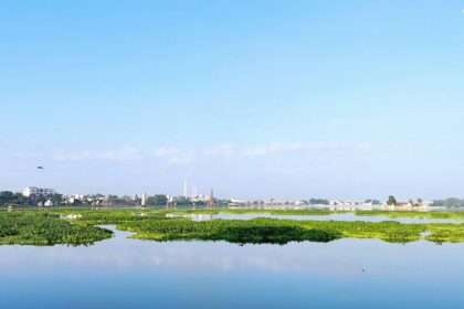 A view of Kota city in Rajasthan, showcasing a mix of urban structures and greenery.