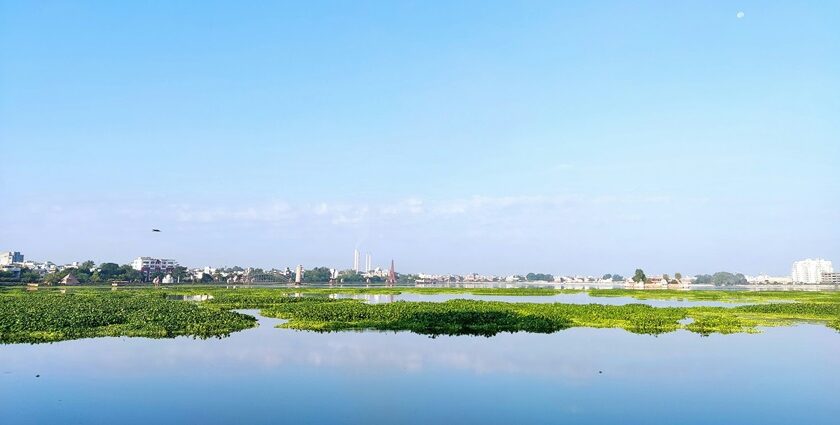 A view of Kota city in Rajasthan, showcasing a mix of urban structures and greenery.