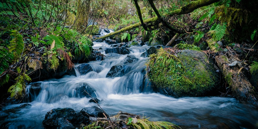 Kothapalli Waterfalls is one of the most scenic and breathtaking Srikakulam Waterfalls.
