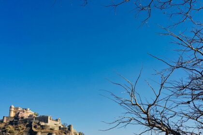 A view of a tourist hottspot nestled on a barren land of Rajasthan surrounded by trees.