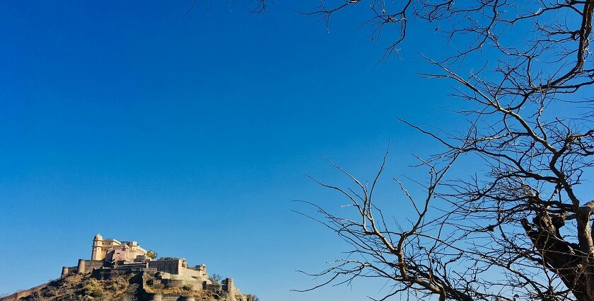 A view of a tourist hottspot nestled on a barren land of Rajasthan surrounded by trees.