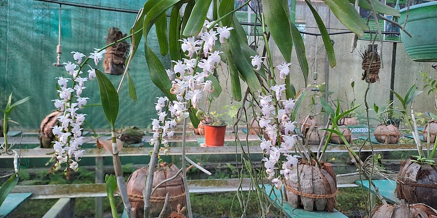 Leading Baramati agricultural research center showcases innovative farming techniques.