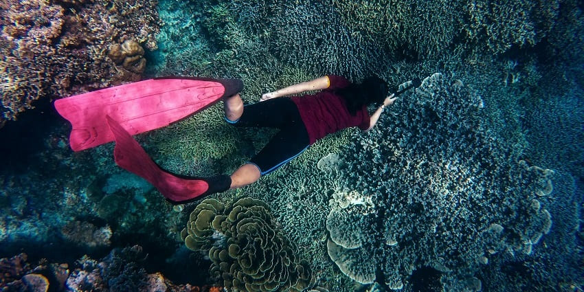 Kuda Huraa House of reef is one of the most breathtaking sites for Maldives snorkelling.