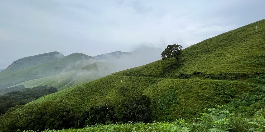 A breathtaking lush green view of Kudremukh, which is one of the best places to visit.