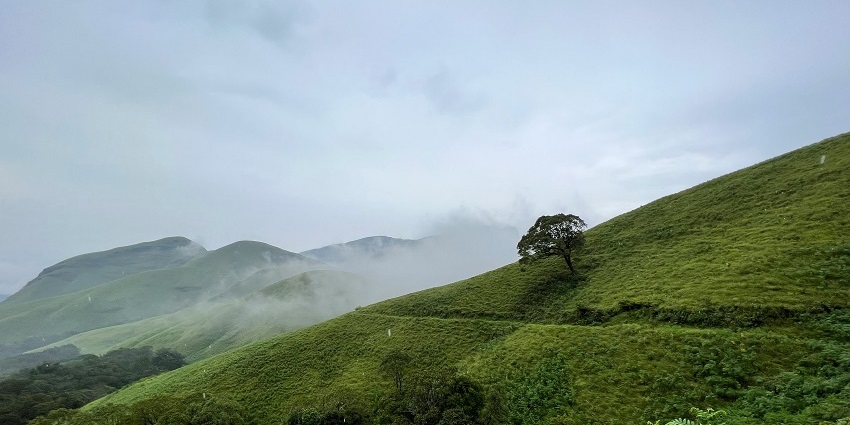 Kudremukh features verdant meadows and is one of the hill stations in Chikmagalur.