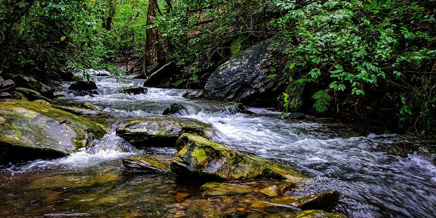 Kudremukh is one of the most lush green offbeat places in Karnataka for travellers. 